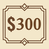 A product priced at $300